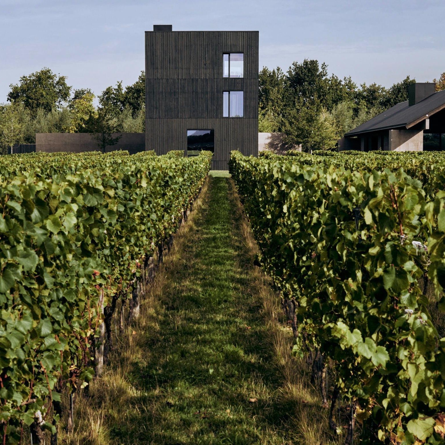 ACA Team Up 2026