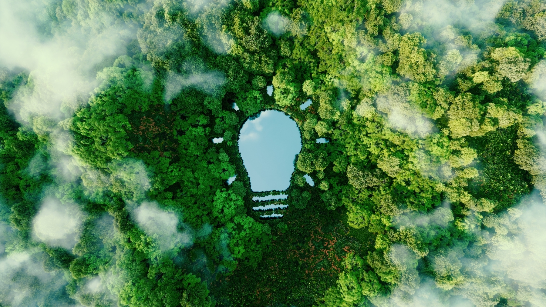Sustainable strategy with Low-Code